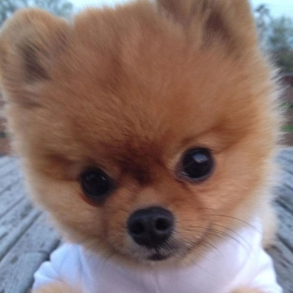 Meet your Posher, Vilma